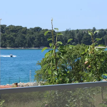Cok アパート ロヴィニ